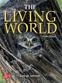 The Living World 10th Edition by George B Johnson – PDF ebook