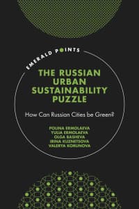 The Russian Urban Sustainability Puzzle: How Can Russian Cities be Green? – PDF ebook