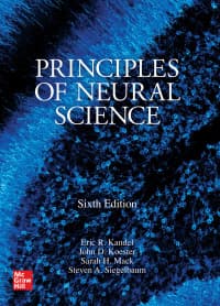 Principles of Neural Science 6th Edition by Eric R. Kandel; John D. Koester; Sarah H. Mack; Steven A. Siegelbaum – PDF ebook