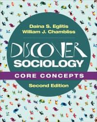 Discover Sociology: Core Concepts 2nd Edition – PDF ebook