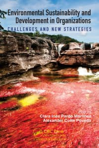 Environmental Sustainability and Development in Organizations: Challenges and New Strategies 1st Edition – PDF ebook