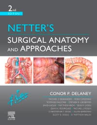 Netter’s Surgical Anatomy and Approaches 2nd Edition – PDF ebook