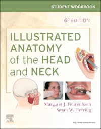 Student Workbook for Illustrated Anatomy of the Head and Neck 6th Edition – PDF ebook