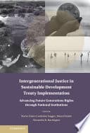 Intergenerational Justice in Sustainable Development Treaty Implementation – PDF ebook