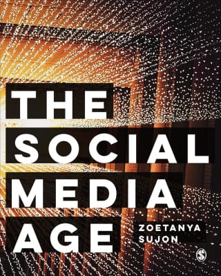 The Social Media Age 1st Edition – PDF ebook