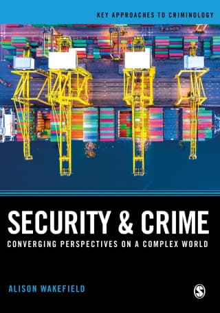 Security and Crime : Converging Perspectives on a Complex World 1st Edition – PDF ebook