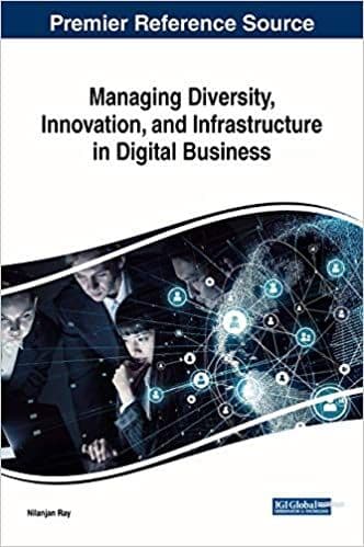 Managing Diversity, Innovation, and Infrastructure in Digital Business – PDF ebook