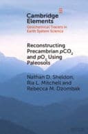 Reconstructing Precambrian pCO2 and pO2 Using Paleosols – PDF ebook