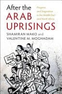 After the Arab Uprisings: Progress and Stagnation in the Middle East and North Africa – PDF ebook