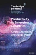 Productivity in Emerging Countries: Methodology and Firm-Level Analysis based on International Enterprise Business Surveys – PDF ebook