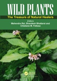 Wild Plants: The Treasure of Natural Healers 1st Edition – PDF ebook