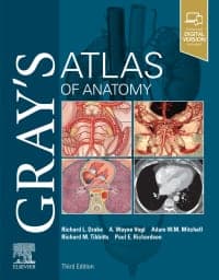 Gray’s Atlas of Anatomy E-Book 3rd Edition – PDF ebook