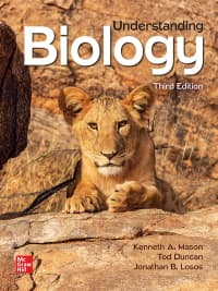 Understanding Biology 3rd Edition by Kenneth A. Mason – PDF ebook