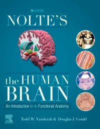 Nolte’s The Human Brain: An Introduction to its Functional Anatomy 8th Edition – PDF ebook