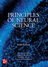 Principles of Neural Science 6th Edition by Eric R. Kandel; John D. Koester; Sarah H. Mack; Steven A. Siegelbaum – PDF ebook