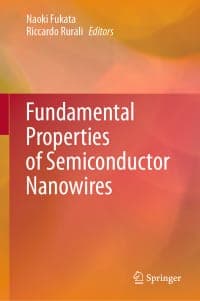 Fundamental Properties of Semiconductor Nanowires 1st Edition – PDF ebook