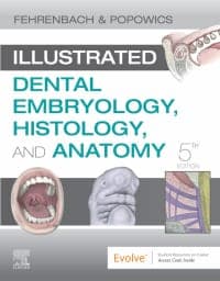 Illustrated Dental Embryology, Histology, and Anatomy E-Book 5th Edition – PDF ebook