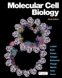 Molecular Cell Biology 9th Edition – PDF ebook