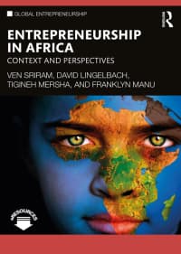 Entrepreneurship in Africa: Context and Perspectives 1st Edition – PDF ebook