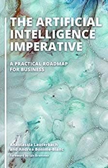 The Artificial Intelligence Imperative: A Practical Roadmap for Business – PDF ebook