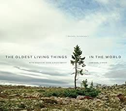 The Oldest Living Things in the World – PDF ebook
