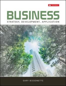 Business: Strategy, Development, Application 3rd Edition – PDF ebook
