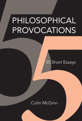 Philosophical Provocations 55 Short Essays – PDF ebook