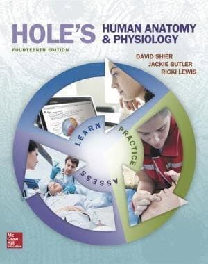 Holes Human Anatomy Physiology 14Th Edition – PDF ebook