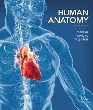 Human Anatomy 8Th Edition – PDF ebook