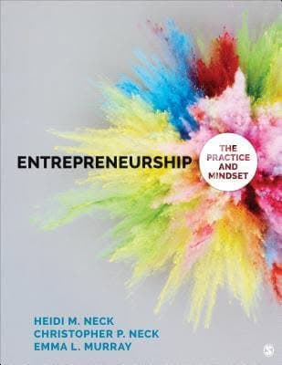 Entrepreneurship The Practice And Mindset – PDF ebook