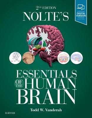 Noltes Essentials Of The Human Brain 2Nd Edition – PDF ebook