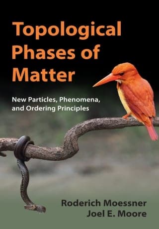 Topological Phases of Matter – PDF ebook