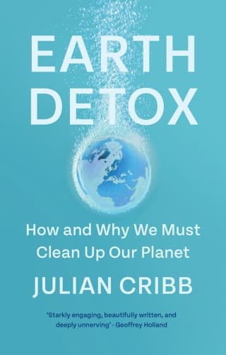 Earth Detox: How and Why we Must Clean Up Our Planet – PDF ebook