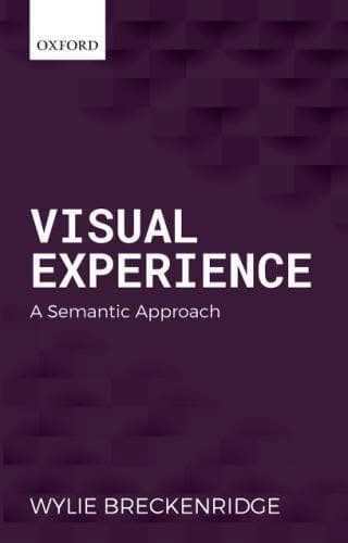 Visual Experience A Semantic Approach – PDF ebook