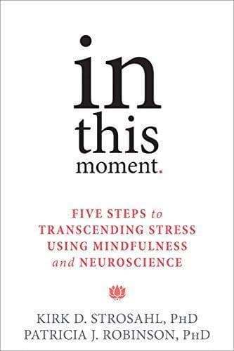 In This Moment Five Steps To Transcending Stress Using Mindfulness And Neuroscience – PDF ebook