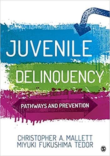 Juvenile Delinquency: Pathways and Prevention - eBook