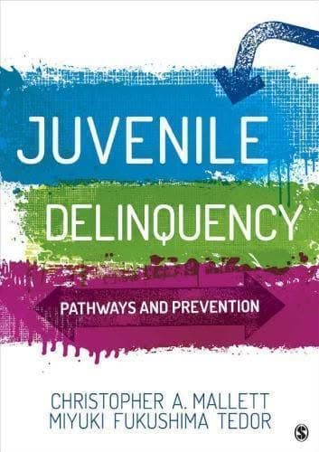Juvenile Delinquency Pathways And Prevention – PDF ebook