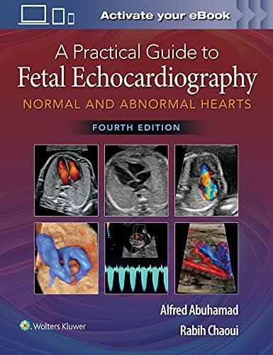 A Practical Guide to Fetal Echocardiography: Normal and Abnormal Hearts, 4th Edition – PDF ebook