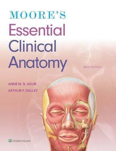 Moores Essential Clinical Anatomy 6Th Edition – PDF ebook