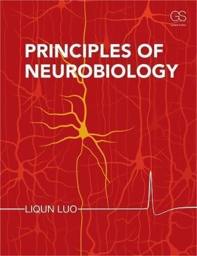Principles Of Neurobiology – PDF ebook