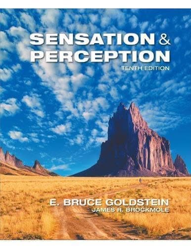 Sensation And Perception 10Th Edition – PDF ebook