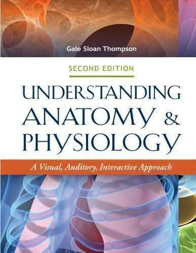 Understanding Anatomy And Physiology A Visual Auditory Interactive Approach 2Nd Edition – PDF ebook