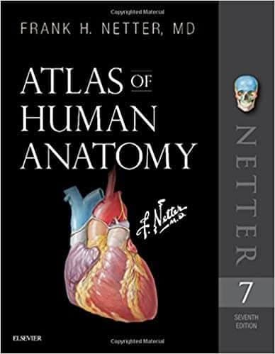 Atlas of Human Anatomy, 7th edition – PDF ebook