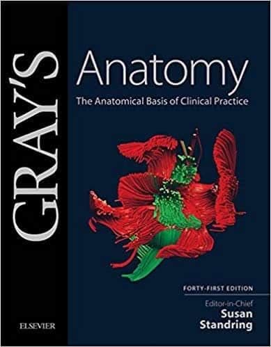 Gray's Anatomy: The Anatomical Basis of Clinical Practice (41st Edition) – PDF ebook