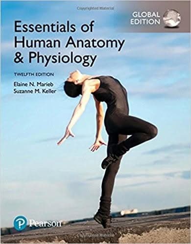 Essentials of Human Anatomy & Physiology 12th Global Edition – PDF ebook