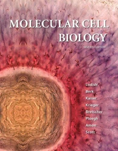 Molecular Cell Biology 7Th Edition – PDF ebook