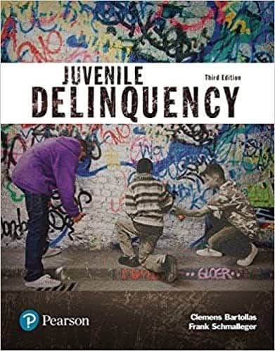 Juvenile Delinquency (3rd Edition) - Clemens/Frank – PDF ebook
