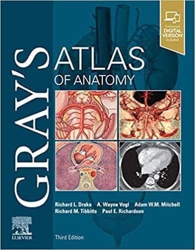 Gray's Atlas of Anatomy (3rd Edition) – PDF ebook