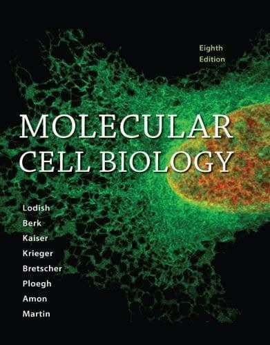 Molecular Cell Biology 8Th Edition – PDF ebook