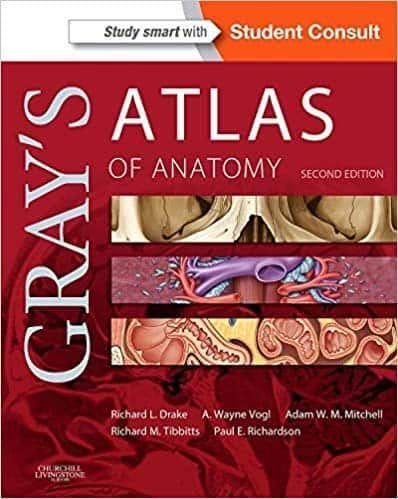 Gray's Atlas of Anatomy (2nd Edition) – PDF ebook
